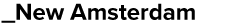 New Amsterdam Logo
